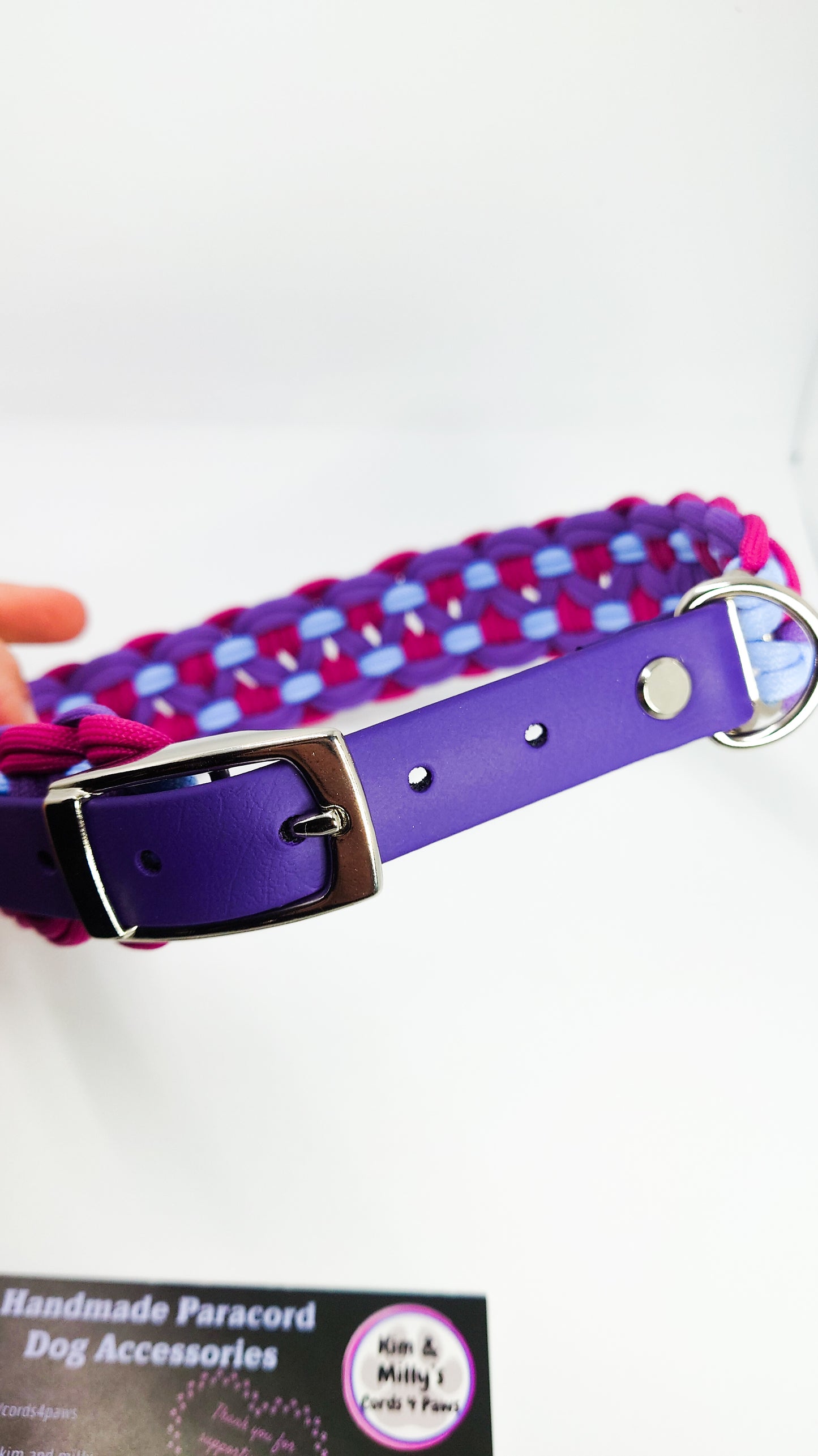 Dog Collar - Sadie's Posie