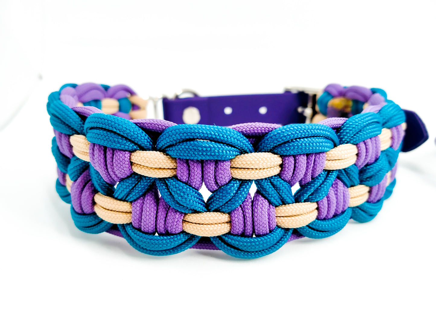 Dog Collar - Sadie's Posie