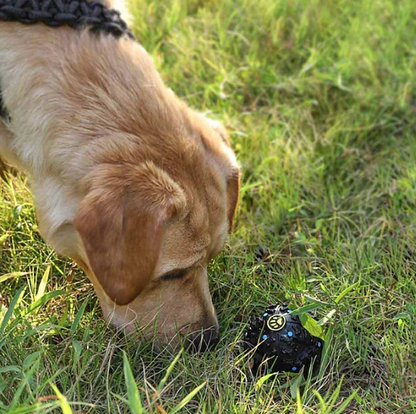 SNUFFLE FOR SHADOW: Giggle Treat Ball