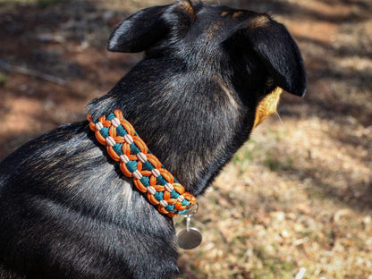 Dog Collar - Sadie's Posie